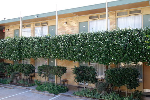 Mid City Motor Inn Queanbeyan - Australia Accommodation 1