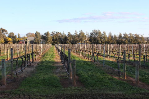 Milawa Vineyard Views - Guesthouse 1 - Australia Accommodation 1
