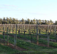 Milawa Vineyard Views - Guesthouse 2 - Australia Accommodation