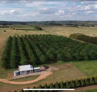 Millthorpe Truffles - Gorgeous getaway for 2 - Australia Accommodation