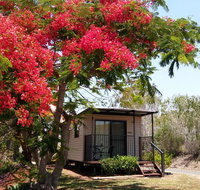 Mt Larcom Tourist Park - Australia Accommodation