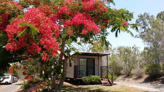 Book Mount Larcom Accommodation Australia Accommodation Australia Accommodation