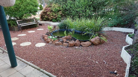 The Cottage On George Street - Australia Accommodation 19