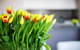 Claremont Quarter Luxury Apartment - thumb 11
