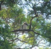 Jacaranda Hideaway Bed  Breakfast - Australia Accommodation