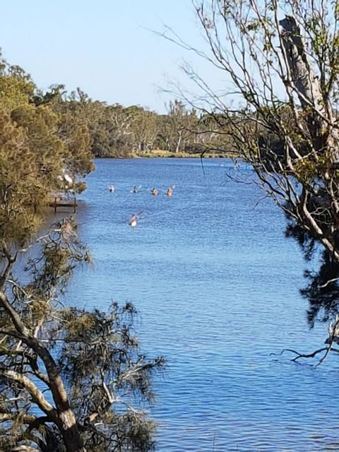 Jacaranda Hideaway Bed & Breakfast - Australia Accommodation 19