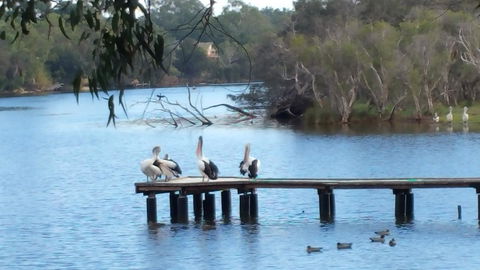 Jacaranda Hideaway Bed & Breakfast - Australia Accommodation 18