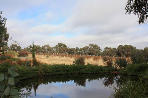 Hotham Ridge Estate - Australia Accommodation 27