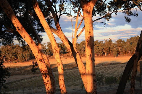 Hotham Ridge Estate - Australia Accommodation 30