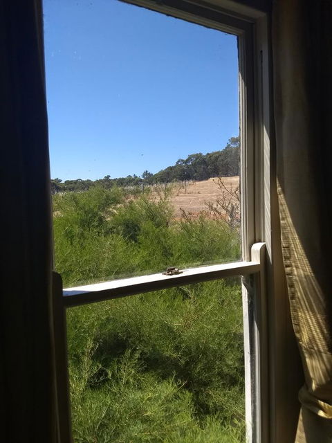 Hotham Ridge Estate - Australia Accommodation 8