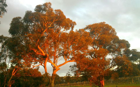 Hotham Ridge Estate - Australia Accommodation 35