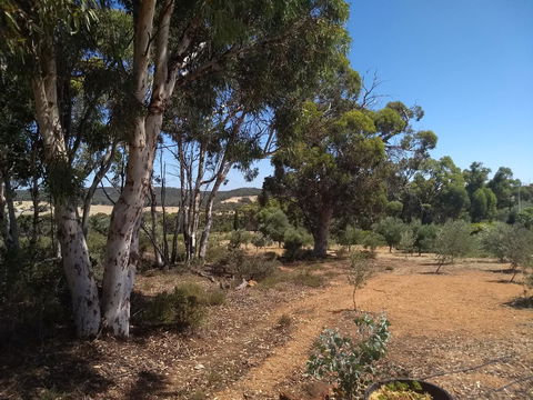 Hotham Ridge Estate - Australia Accommodation 13