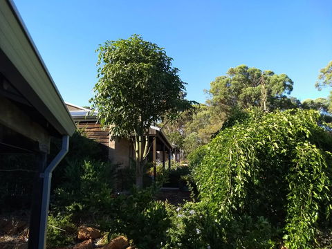 Hotham Ridge Estate - Australia Accommodation 5