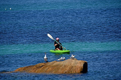Sandpiper Retreat - Australia Accommodation 29