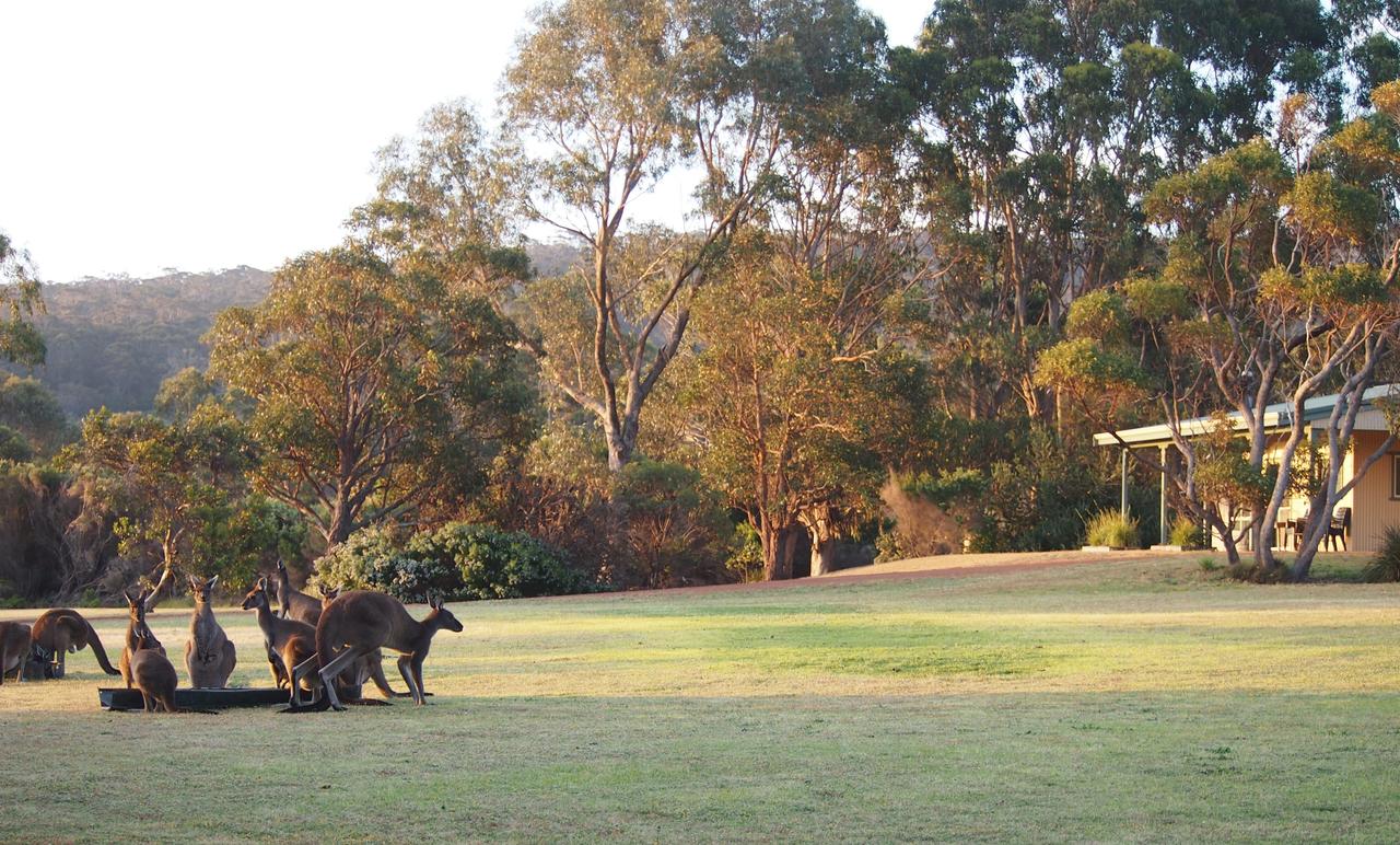  Australia Accommodation