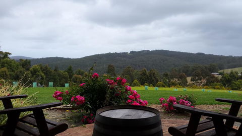 Karri Aura - Australia Accommodation 3