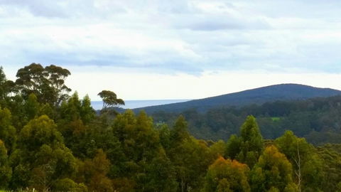 Karri Aura - Australia Accommodation 10
