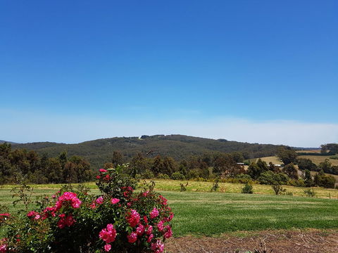 Karri Aura - Australia Accommodation 9