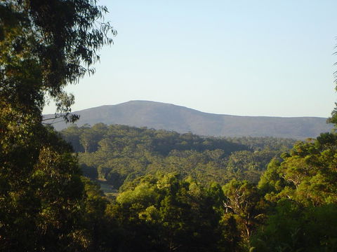 Kangaroo Valley Cottage - Australia Accommodation 19