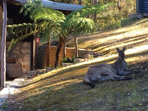 Kangaroo Valley Cottage - Australia Accommodation 3