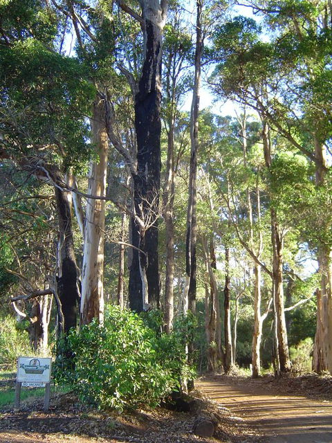 Kangaroo Valley Cottage - Australia Accommodation 21