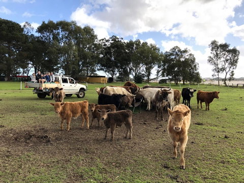 Kellers Bed And Breakfast - Australia Accommodation 33