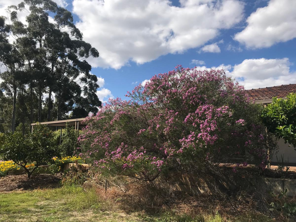  Australia Accommodation
