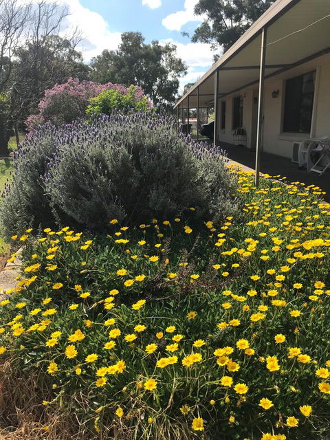 Cockburn Retreat Home æŸæ–¯æ‚ é–’æ°‘å®¿ - Australia Accommodation 3