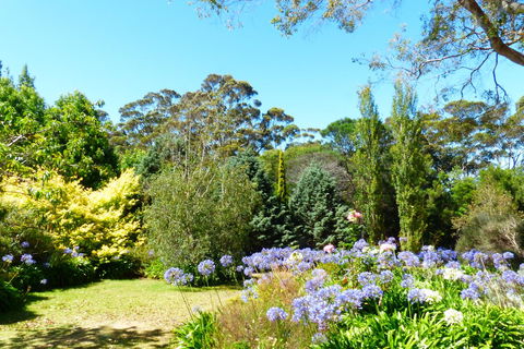 Innisfree Mountain Retreat - Australia Accommodation 1