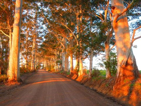 Innisfree Mountain Retreat - Australia Accommodation 10