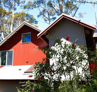 Pelicans at Denmark - Australia Accommodation