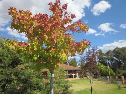 Bridgetown Valley Lodge - Australia Accommodation 40
