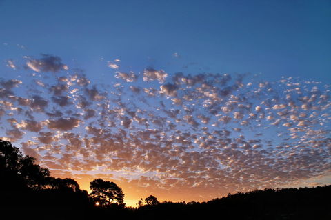 Bridgetown Valley Lodge - Australia Accommodation 6
