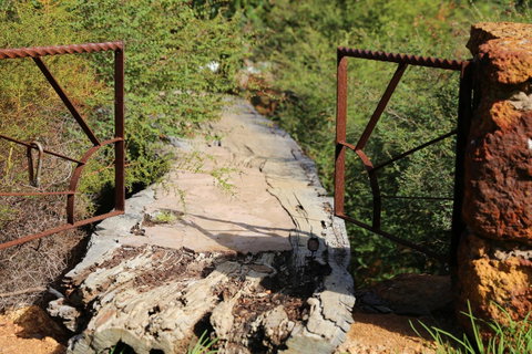 Nannup Bush Retreat - Australia Accommodation 24
