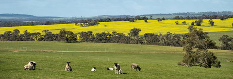 Kendenup Cottages And Lodge - Australia Accommodation 44