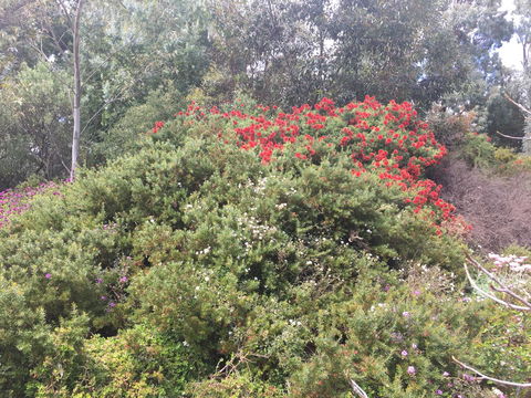 Tegwan's Nest Holiday Home - Australia Accommodation 42