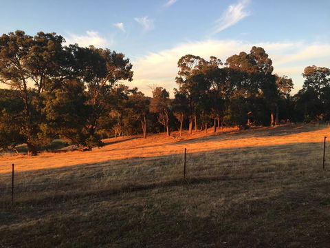 Tegwan's Nest Holiday Home - Australia Accommodation 18