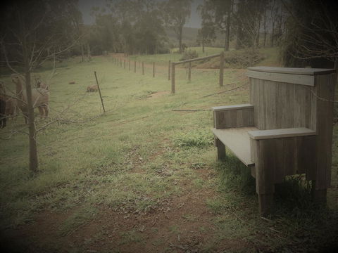 Tegwan's Nest Holiday Home - Australia Accommodation 43