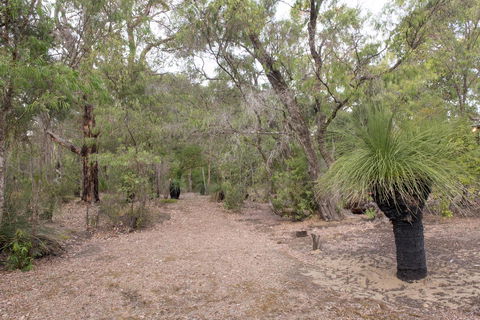 53 Martina Drive - Australia Accommodation 30
