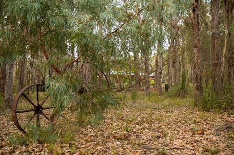 Denmark Forest Retreat - Australia Accommodation 5