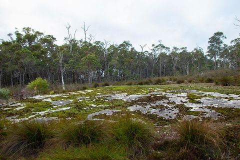 Denmark Forest Retreat - Australia Accommodation 26