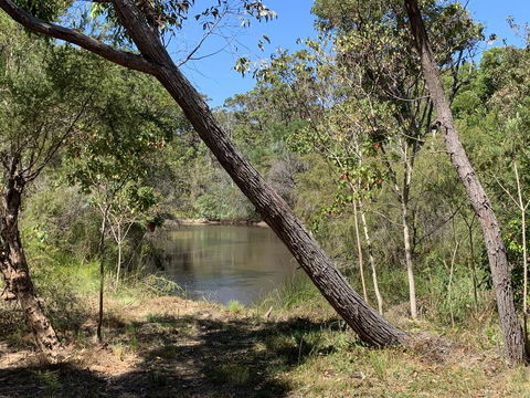 Denmark Forest Retreat - Australia Accommodation 32