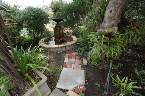 Jacaranda Guest House - Australia Accommodation 32