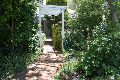 Jacaranda Guest House - Australia Accommodation 39