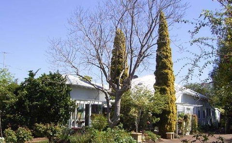 Jacaranda Guest House - Australia Accommodation 37