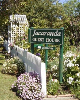 Jacaranda Guest House - Australia Accommodation 43