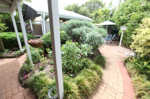 Jacaranda Guest House - Australia Accommodation 25