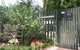 Rosebridge House Bed & Breakfast Adult Retreat - thumb 26