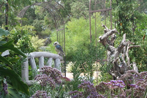 Rosebridge House Bed & Breakfast Adult Retreat - Australia Accommodation 12