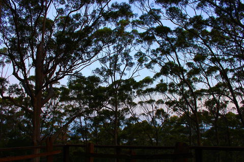 Ark Of Denmark - Australia Accommodation 27